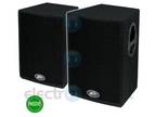 Two Peavey Pro 15 speakers